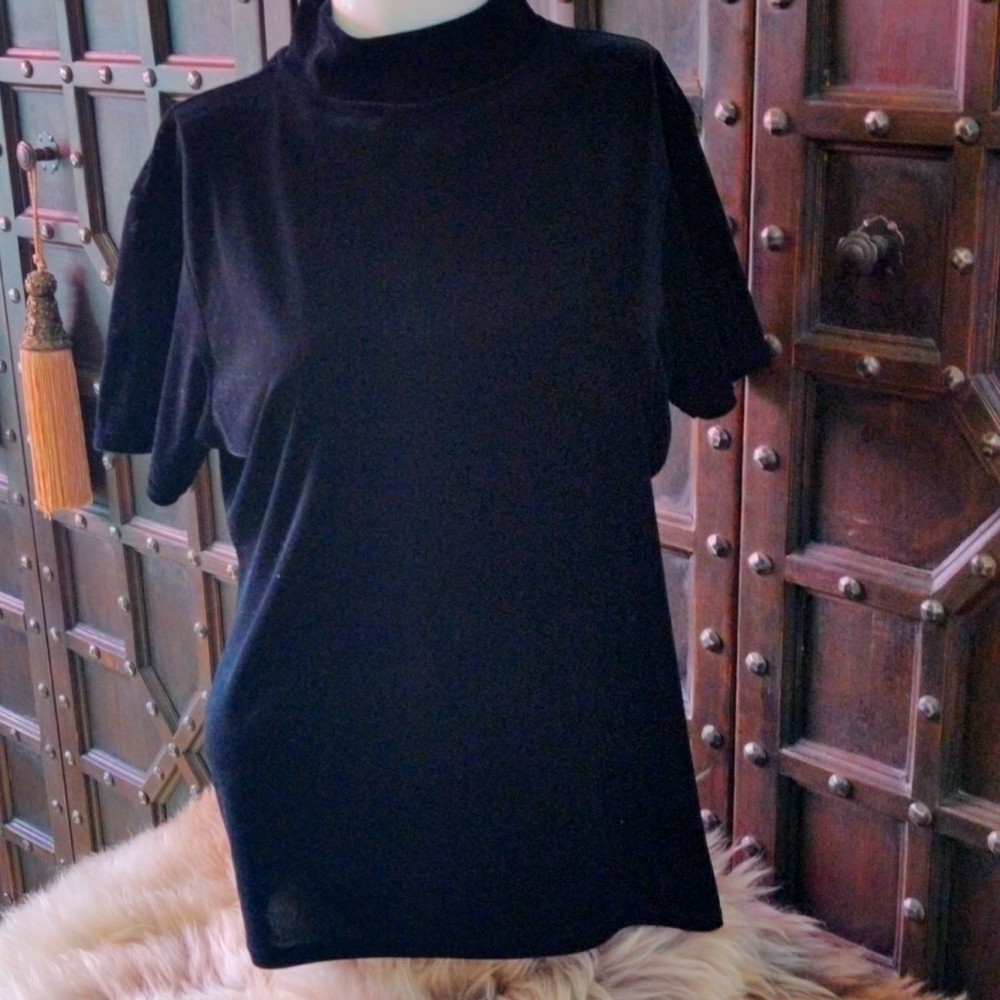 𝅺SIZE large Kathy Ireland velvety short sleeve shirt